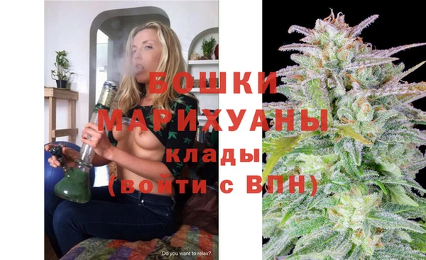 СК Пересвет
