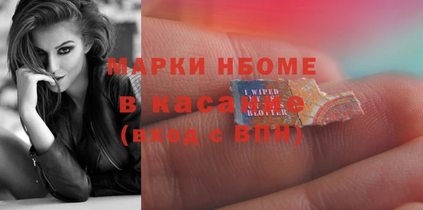 СК Пересвет