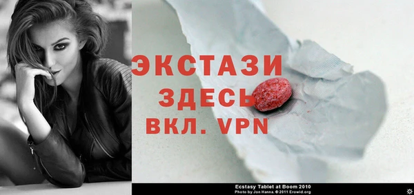 СК Пересвет