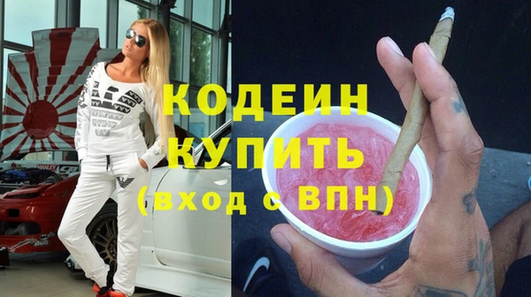 СК Пересвет