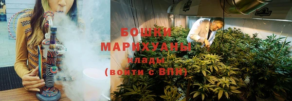 СК Пересвет