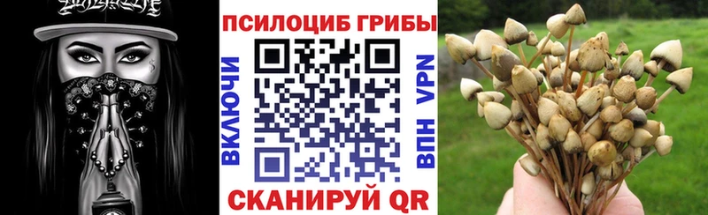 Псилоцибиновые грибы мухоморы Светлый