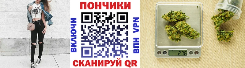 где найти наркотики  Светлый  Конопля индика 